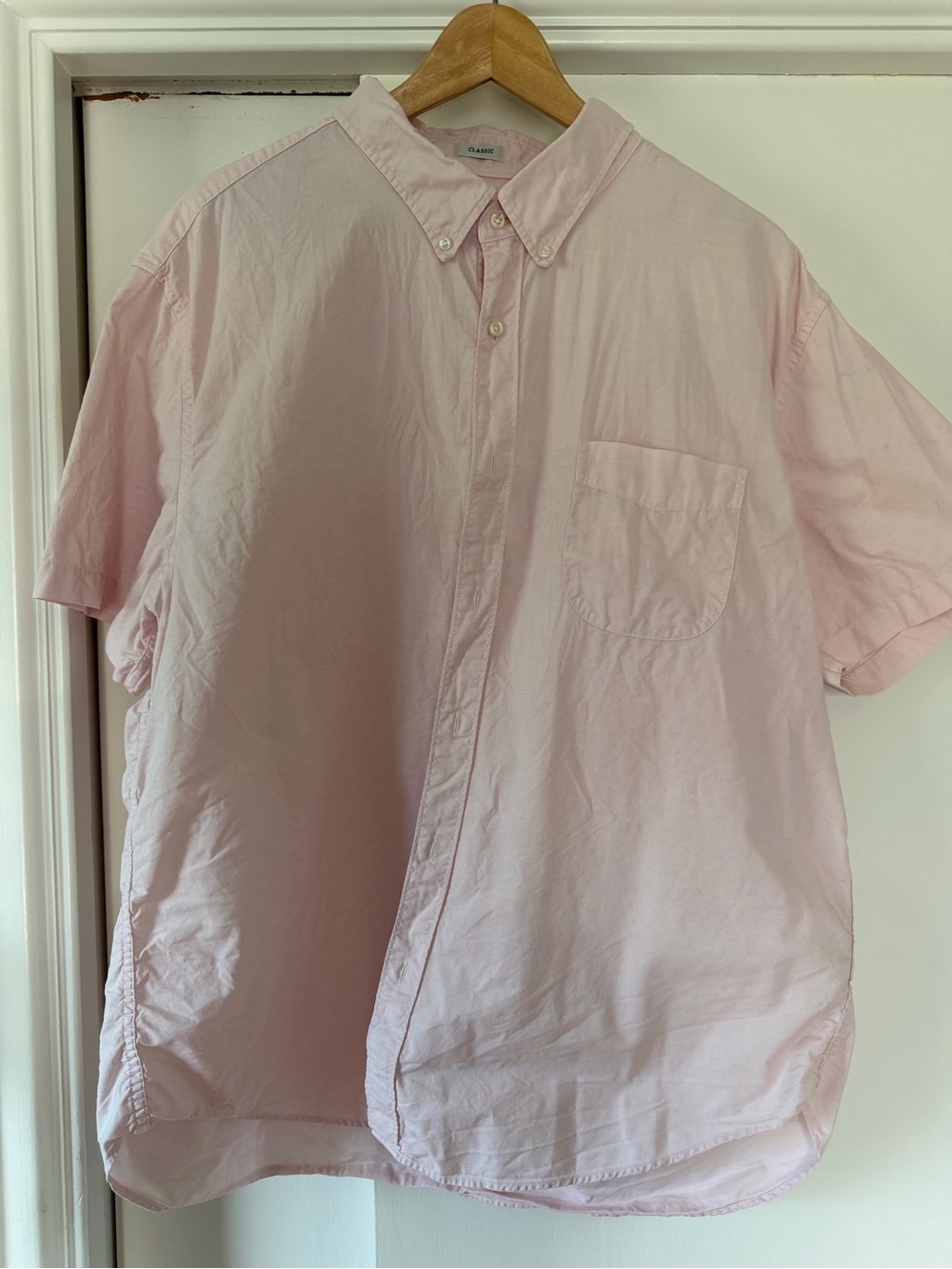 J. Crew Pale Pink Short-Sleeve Button-Down Shirt